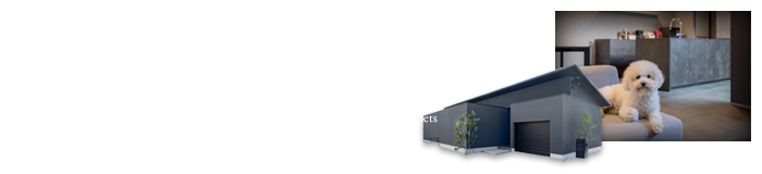 光と影が織りなす平屋ガレージハウス